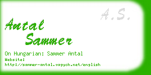 antal sammer business card